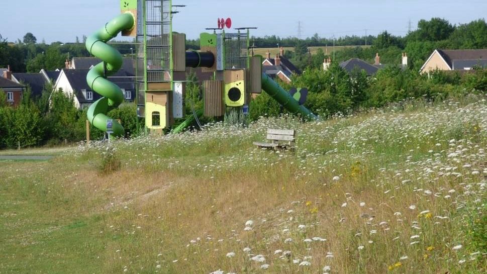 Urban meadows to be expanded across Andover News Greatest Hits